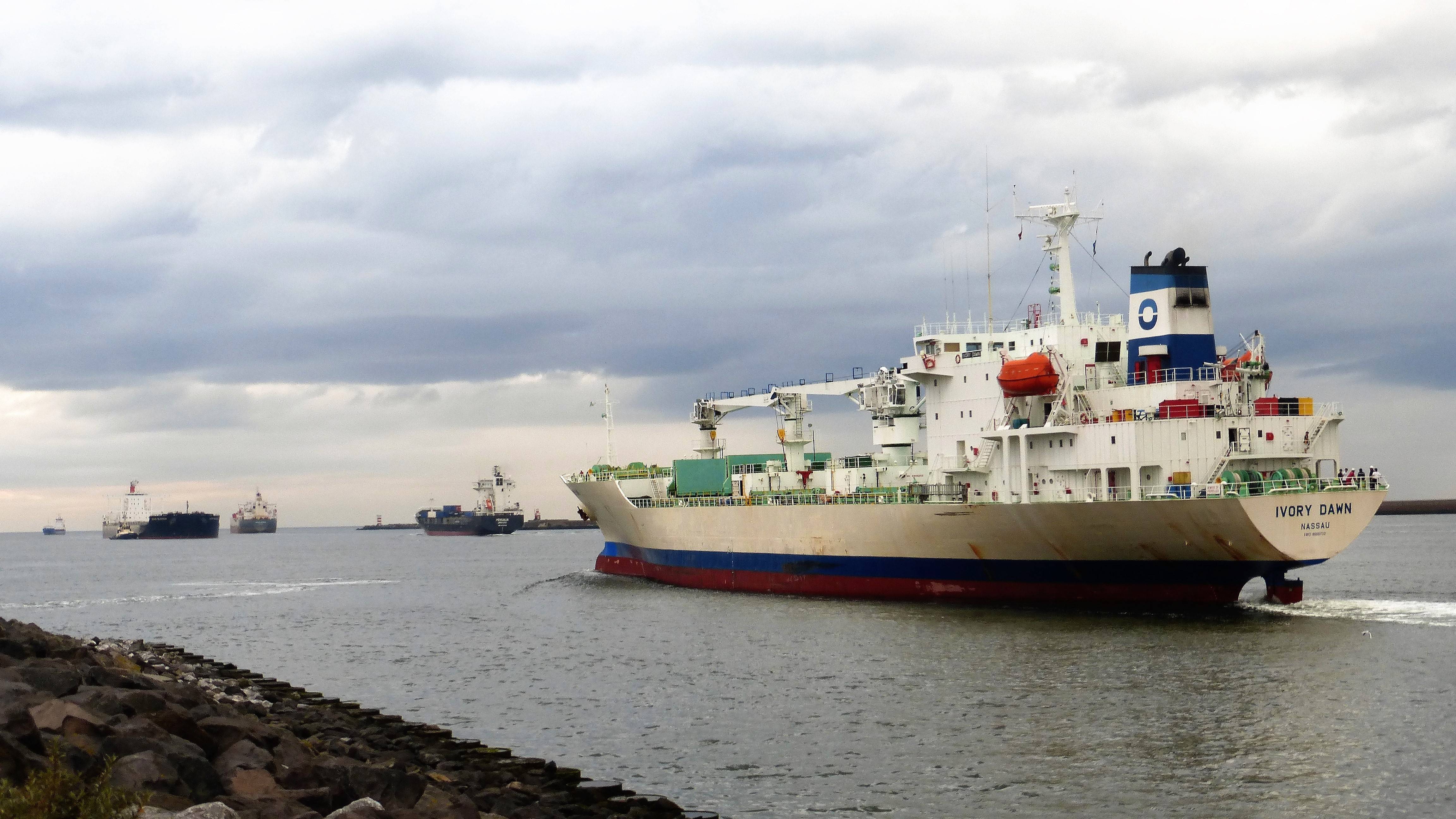 Pieren IJmuiden 15-08-17 